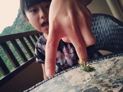-三清山希尔顿度假酒店