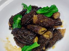 羊肝菌-九福楼大酒店