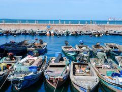-悦海公园