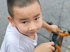 -昆山城市生态森林公园