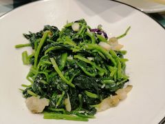 -紫光园·烤鸭·北京菜(劲松店)