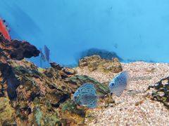 -海合安武汉极地海洋公园