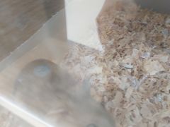 -素满香·食养自助(建邺万达店)
