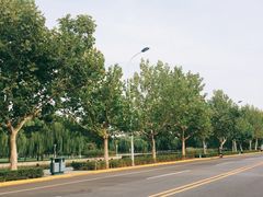 -泰丰公园