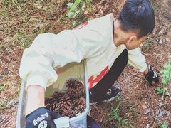 -芦仙山景区-飞越丛林探险乐园