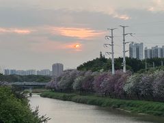 -广东花都湖国家湿地公园