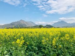 -楠溪江风景名胜区