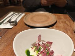 自制ricotta-EGoN