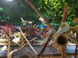 -酷嗒动物文化乐园(cutezoo西溪乐天城店)