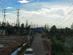 -大湾区中央湿地公园-十九涌