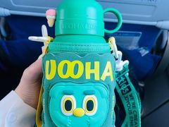 -丽江三义国际机场