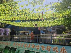 -富斯特索道