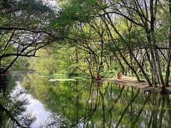 -西溪南古村落