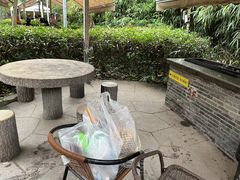 -上海滨江森林公园