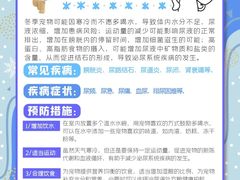 -瑞派申生动物医院·24H夜诊·国际动物医疗中心·骨外科(吴中路店)