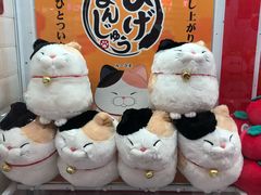 -LLJ夹机占(清河万象汇店)