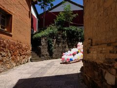 -墨江北回归线标志园