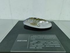-诸暨博物馆