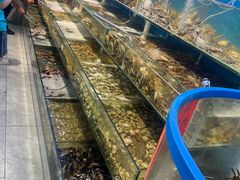 -仙螺岛海鲜自助餐厅(总店)