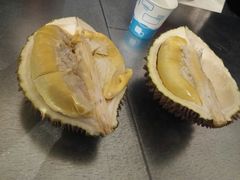 -都念榴莲·城市榴莲