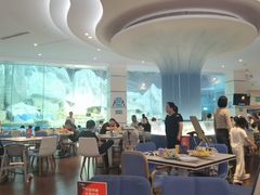 -帝企鹅自助餐厅•儿童岛•真企鹅(长隆企鹅酒店)