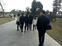 -秀丽东方