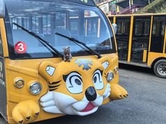 -栾川竹海野生动物园