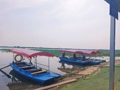 -白洋淀景区