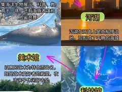 -日照海滨国家森林公园
