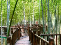 -陶祖圣境风景区