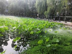-四川大学(望江校区)