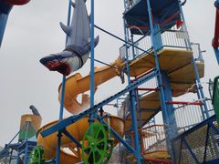 -苏州乐园森林水世界