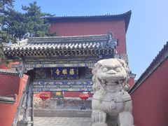 -五台山风景名胜区-罗睺寺