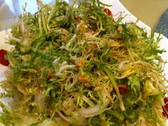 苦菊我的大爱-九尊食上(生态园林酒店)