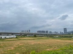 -光明小镇欢乐田园