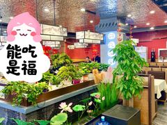 -洞庭家宴·头牌甲鱼(广渠门店)