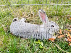 -野鸭湖国家湿地公园