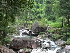 -花岩国家森林公园