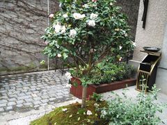-徐家汇源景区-衡山坊