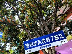 -临江后街鳝丝(临江店)