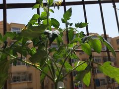 -北京银行(芍药居支行)