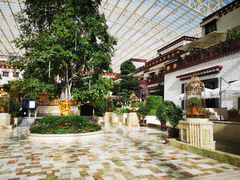 -拉萨圣地天堂洲际大饭店-自助餐厅