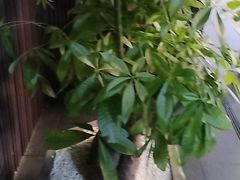 -阿伟海鲜楼·福建菜(涵江店)
