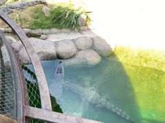 -上海野生动物园