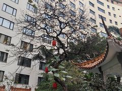 -广州中国大酒店