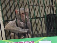 -广东茂名森林公园