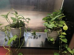 -清真·丝路香妃新疆餐厅