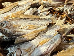 -东钱湖小普陀景区