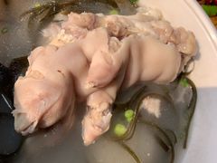 带丝蹄花-双流老字号董蹄花(机场南四路店)