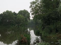 -新江湾城公园